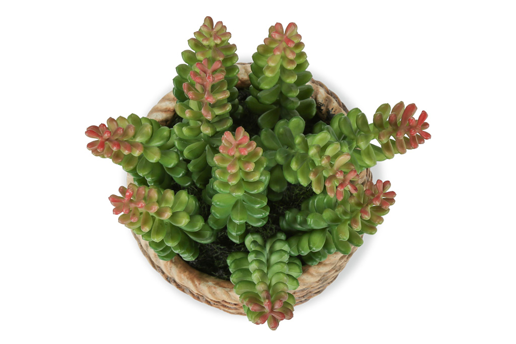 Artificial Plants (set of 2)