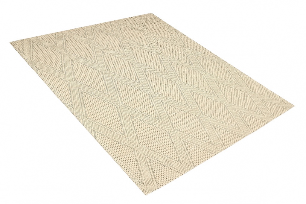 8x10 Area Rug RG262